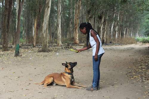 Podpora vyhledávacích psů - ochranářů divočiny v Africe